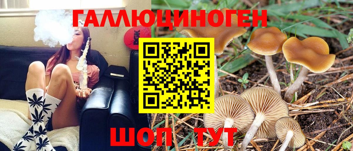 Златоуст  наркотики  Вход с VPN  Псилоцибиновые грибы Magic Shrooms 
