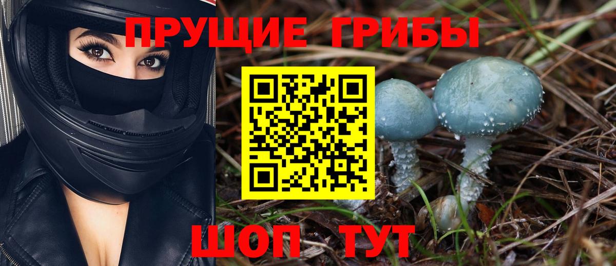 Псилоцибиновые грибы мухоморы Златоуст